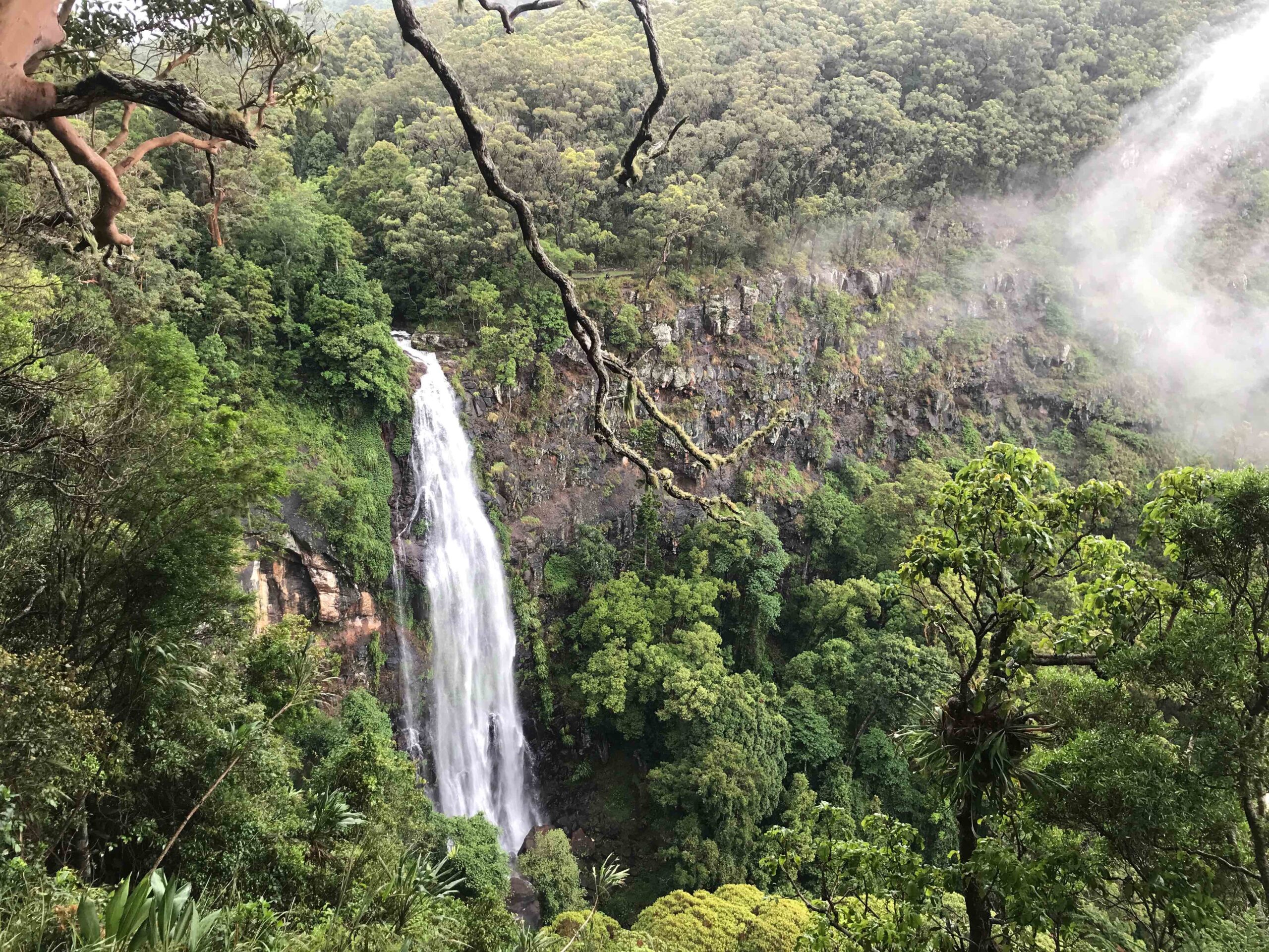 Lamington National Park (Queensland, Australia)